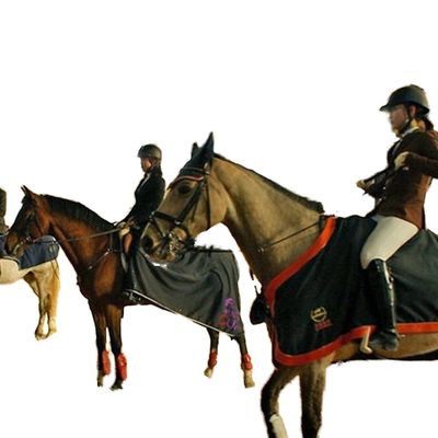 Ελαφρύ χάλυβα δομή κτίριο για εσωτερικό άθλημα ιππασίας αλόγων