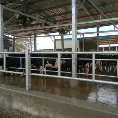 Επαγγελματική προφυλακτική χάλυβα δομή χώρο πλαίσιο κτίριο αγροκτήματος κοτόπουλου