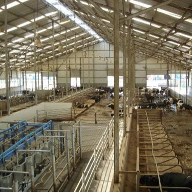 Τυποποιημένη δομή από χάλυβα Σπίτι πουλερικών με γρήγορη εγκατάσταση