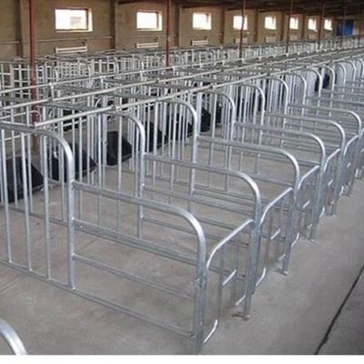 Τυποποιημένη δομή από χάλυβα Σπίτι πουλερικών με γρήγορη εγκατάσταση