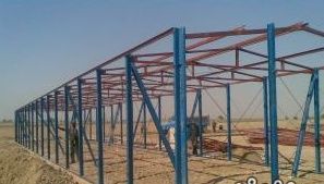 Prefabricated Steel Structure Cows Farm Building with 50 Years Life Time 10 Fission Resistant and 15-21 Days Delivery Time