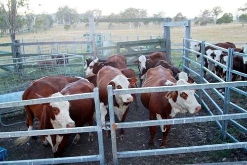 Χάλυβα με επίστρωση σκόνης με υψηλή σεισμική αντοχή και κατάλληλα για έργα υποδομής μεγάλης κλίμακας